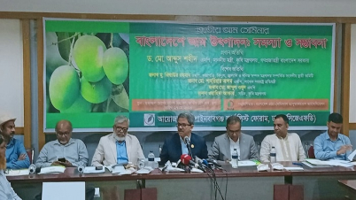 আম রপ্তানি ও বাজার বাড়াতে অঞ্চলভিত্তিক প্যাকিং হাউজসহ ৮ দাবি 