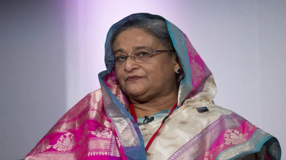`গৃহযুদ্ধের পরিকল্পনার` অভিযোগে শেখ হাসিনার বিরুদ্ধে মামলা