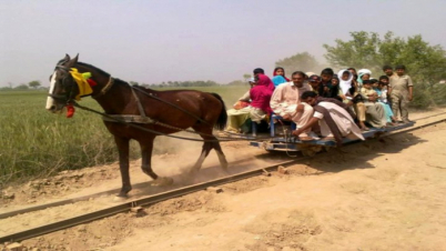 পাকিস্তানের ঘোড়ায় টানা ট্রেন (ভিডিও)