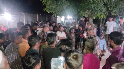 সীমান্তে বিএসএফের ১০ পুশইন চেষ্টা রুখে দিলো বিজিবি