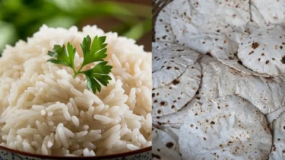 ভাত না রুটি, কী খাওয়া উচিত?