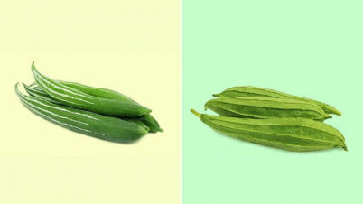 কেন খাদ্যতালিকায় রাখবেন চিচিঙ্গা ও ঝিঙা