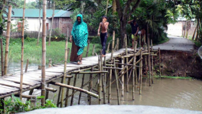 নড়বড়ে সাঁকোয় ঝুঁকি নিয়ে পারাপার