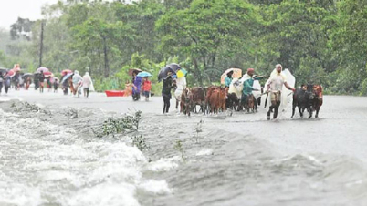 বন্যায় মৃত্যু ৩৬
