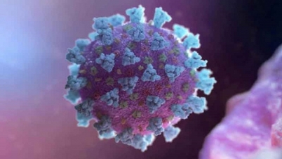 করোনায় ৩৯ জনের মৃত্যু, নতুন শনাক্ত ৩৫৩১ করোনায় ৩৯ জনের মৃত্যু, নতুন শনাক্ত ৩৫৩১