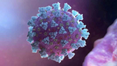 ২৪ ঘন্টায় ৫০  জনের মৃত্যু , শনাক্ত ২,৯২৮ 