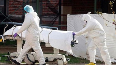 করোনায় বিশ্বব্যাপী মৃতের সংখ্যা ৮ লাখ ছাড়াল