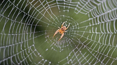 নিজের কাজ করুন সবচেয়ে ভালোভাবে