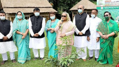 সরকারি অফিসে ছাদবাগান করতে বললেন প্রধানমন্ত্রী