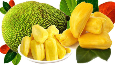 কাঁঠাল খাবেন কেন