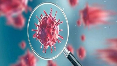 করোনা: শনাক্ত ২৩৬৪ জন, মৃত্যু ৩০