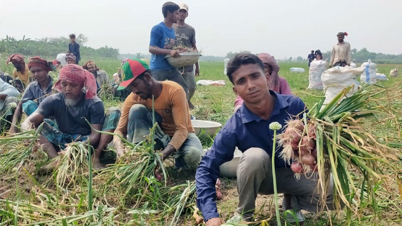 ইউটিউব দেখে পেঁয়াজ চাষে সফল শিক্ষার্থী মুনিরুল