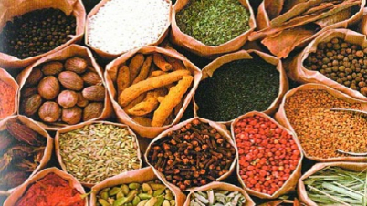 মসলা-আনাজ কিভাবে সংরক্ষণ করবেন