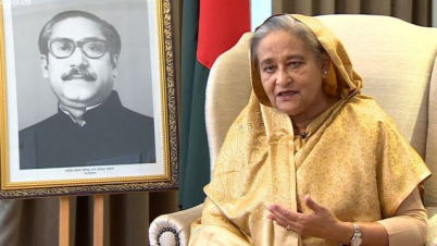 পাকিস্তানি সংবাদমাধ্যমে নিবন্ধ, শেখ হাসিনাকে দেখে শিখুন