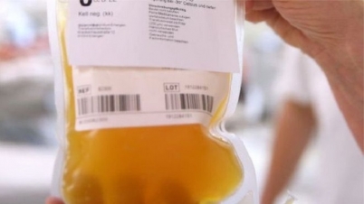 `প্লাজমা থেরাপি` নিয়ে দেশে কী হচ্ছে? `প্লাজমা থেরাপি` নিয়ে দেশে কী হচ্ছে?