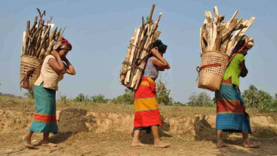 যে ভাষার লোক মাত্র ৬ জন