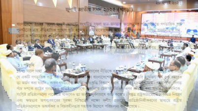 জুলাই সনদে যা যা আছে