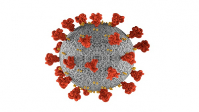 মৃত্যু বেড়ে ৩১১১: শনাক্ত ২৩৭৬৬১