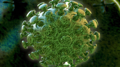 করোনায় আরো ৩২ জনের মৃত্যু:  সুস্থ ১০২০, 