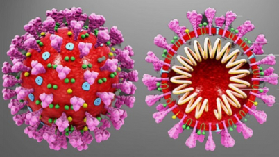 দেশে করোনায় মৃত্যু ও আক্রান্ত দুই-ই বেড়েছে 