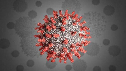 করোনায় প্রাণ গেল ৩৫ জনের: শনাক্ত ১৯৫০