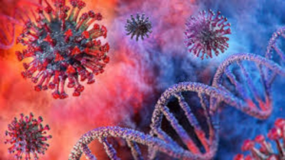 দেশে ১ দিনে করোনায় ২৫ জনের মৃত্যু: আক্রান্ত ১৬৮১