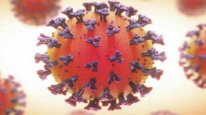 করোনায় ৫৫ জনের মৃত্যু, শনাক্ত ৩০২৭ করোনায় ৫৫ জনের মৃত্যু, শনাক্ত ৩০২৭