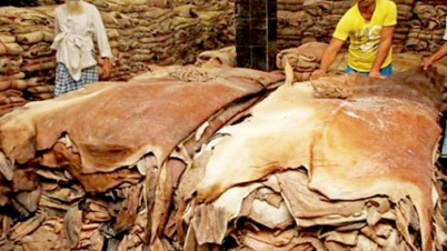 কোরবানির পশুর চামড়ার দাম নির্ধারণ