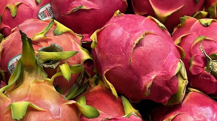 ড্রাগনের বিস্ময়কর ৫ উপকারিতা
