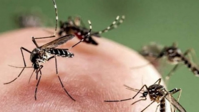 রাজধানীতে ডেঙ্গুর প্রকোপ : হাসপাতালে ১৬ রোগী ভর্তি রাজধানীতে ডেঙ্গুর প্রকোপ : হাসপাতালে ১৬ রোগী ভর্তি