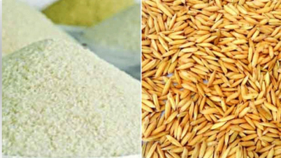 ধান-চাল মজুতের বিরুদ্ধে অভিযান আরও জোরালো