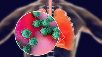 কয়েক ঘণ্টায় কীভাবে ফুসফুসের ক্ষতি করে করোনা? কয়েক ঘণ্টায় কীভাবে ফুসফুসের ক্ষতি করে করোনা?