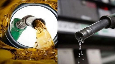 সারাদেশে অবৈধ মজুত ৪,৬৯,০৪২ লিটার তেল জব্দ সারাদেশে অবৈধ মজুত ৪,৬৯,০৪২ লিটার তেল জব্দ