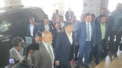 প্রবাসে পোস্টাল ব্যালটে ভোট শুরু হলো কীভাবে, ইসিকে প্রশ্ন বিএনপির