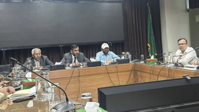 প্রবাসীরা ভোট দেবেন ২০ দিন আগে