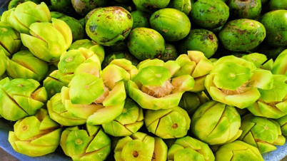 আমড়ার আসল গুণ জানেন?