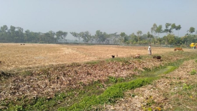 ২০ বছরে খুলনায় সবচেয়ে কম বৃষ্টি