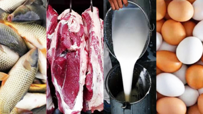 রমজানে কম দামে দুধ, ডিম, মাছ ও মাংস দেবে সরকার