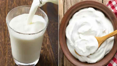 দই নাকি ঘোল, কোনটি বেশি উপকারি