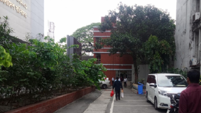 টানা ৭ দিনের ছুটিতে যাচ্ছেন সরকারি চাকরিজীবীরা