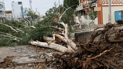 বিপর্যয়ে লণ্ডভণ্ড গুজরাট