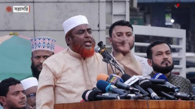 ইসিতে ৯ দাবি জামায়াতের ইসিতে ৯ দাবি জামায়াতের