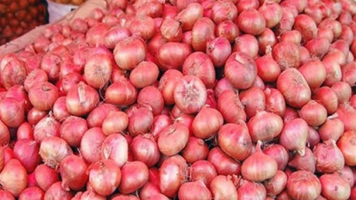 যেভাবে ভারতের পেঁয়াজ রপ্তানিকারকদের কাঁদাচ্ছে বাংলাদেশ যেভাবে ভারতের পেঁয়াজ রপ্তানিকারকদের কাঁদাচ্ছে বাংলাদেশ