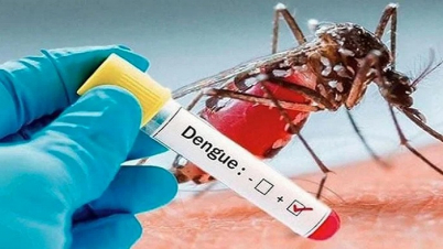ডেঙ্গুর লক্ষণ, পরীক্ষা ও প্রতিরোধের উপায়