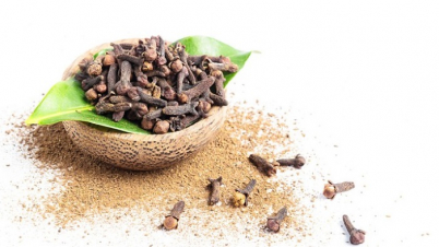 লবঙ্গের যত কার্যকারিতা লবঙ্গের যত কার্যকারিতা