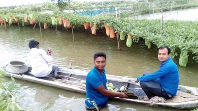 মাছের ঘেরে তরমুজের বাম্পার ফলন