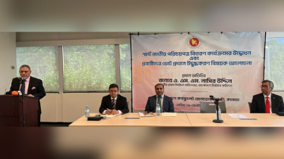 আসন্ন জাতীয় নির্বাচনে পোস্টাল ব্যালটে ভোট দিতে পারবেন প্রবাসীরা