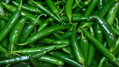 কাঁচামরিচ কেন খাবেন?
