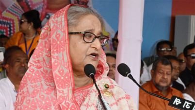 সরকারি চাকরিজীবীদের উদ্দেশে যা বললেন প্রধানমন্ত্রী