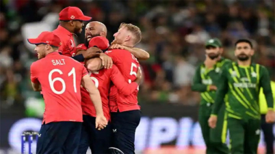 যেসব কারণে বিশ্বকাপ জিতল ইংল্যান্ড